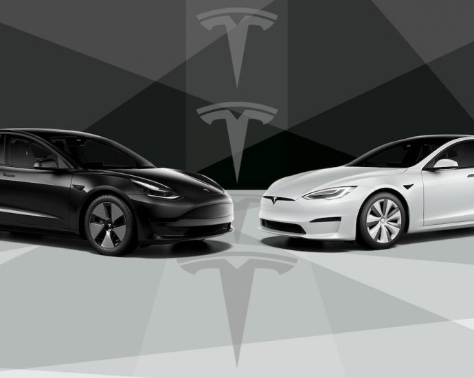 Tesla Model 3 or Model S